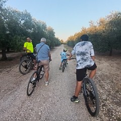 Vivila in bici