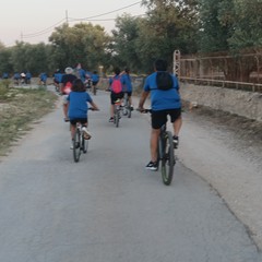 Pedalando sulle vie del Carro