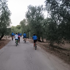 Pedalando sulle vie del Carro