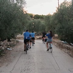 Pedalando sulle vie del Carro