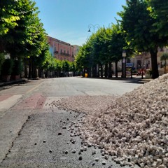 Stesa del pietrisco per il passaggio Carro Trionfale