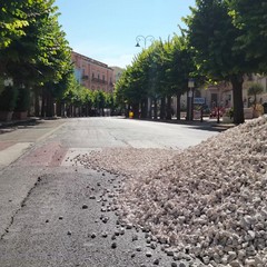 Stesa del pietrisco per il passaggio Carro Trionfale