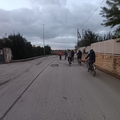 Vivila in bici