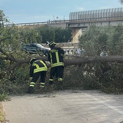 Intervento Vigili del Fuoco