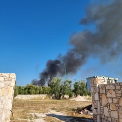 Incendio Terlizzi
