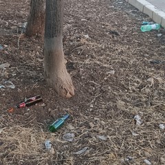 La pineta di viale della Resistenza è quasi una discarica a cielo aperto