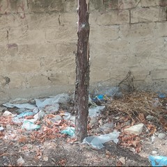 La pineta di viale della Resistenza è una discarica a cielo aperto