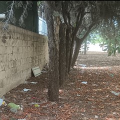 La pineta di viale della Resistenza è una discarica a cielo aperto