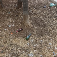 La pineta di viale della Resistenza è una discarica a cielo aperto