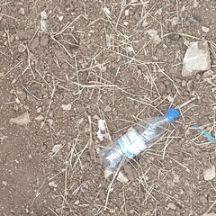 La pineta di viale della Resistenza è una discarica a cielo aperto