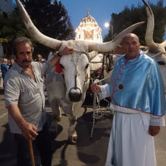 Arrivata a Terlizzi in processione l’icona di Maria Santissima di Sovereto