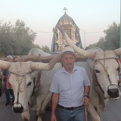 Arrivata a Terlizzi in processione l’icona di Maria Santissima di Sovereto
