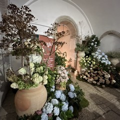 Portoni in Fiore 2025