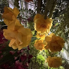 Portoni in Fiore 2025