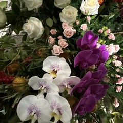 Portoni in Fiore 2025