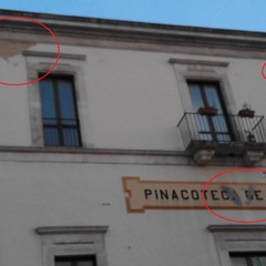 pinacoteca