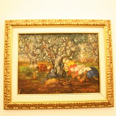 Inaugurazione mostra permanente Antonio Volpe