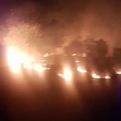 Incendio sterpaglie statale provinciale