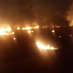 Incendio sterpaglie statale provinciale