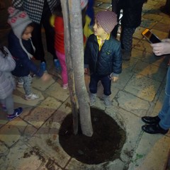 L'albero e il bambino