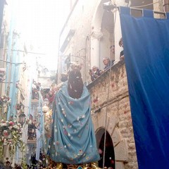 madonna del rosario balcone petali