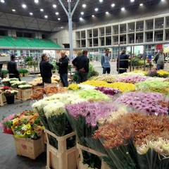 Mercato dei fiori
