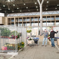 mercato fiori di