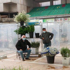 mercato fiori di