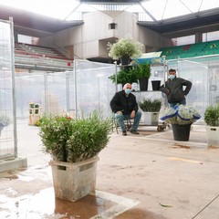 mercato fiori di