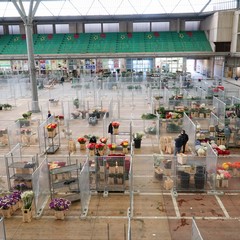 mercato fiori di