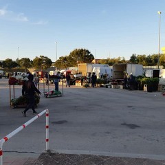 Mercato Terlizzi