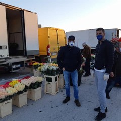 Mercato Terlizzi