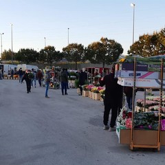 Mercato Terlizzi