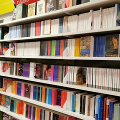 Mondadori Bookstore