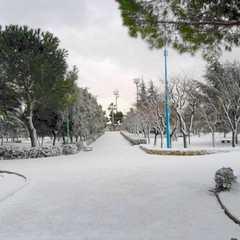 NEVE