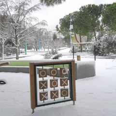 NEVE