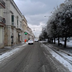 neve