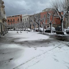 neve