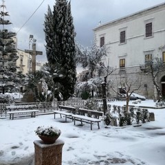 neve