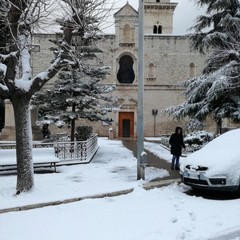 neve