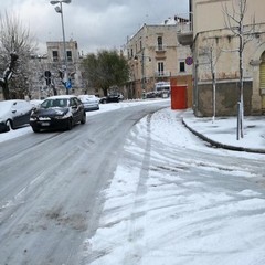 neve