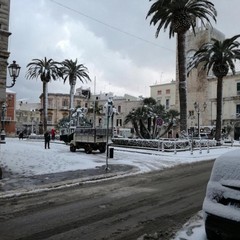 neve