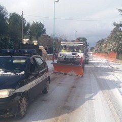 neve a terlizzi