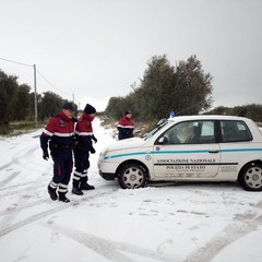 neve a terlizzi