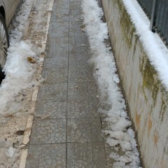 neve a terlizzi