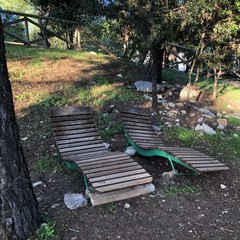 Parco comunale Terlizzi JPG