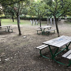 Parco comunale Terlizzi JPG