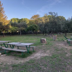 Parco comunale Terlizzi JPG