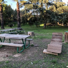 Parco comunale Terlizzi JPG