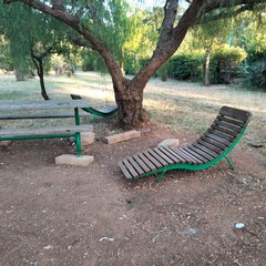 Parco Comunale giugno